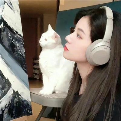 带摄影机的陌生人